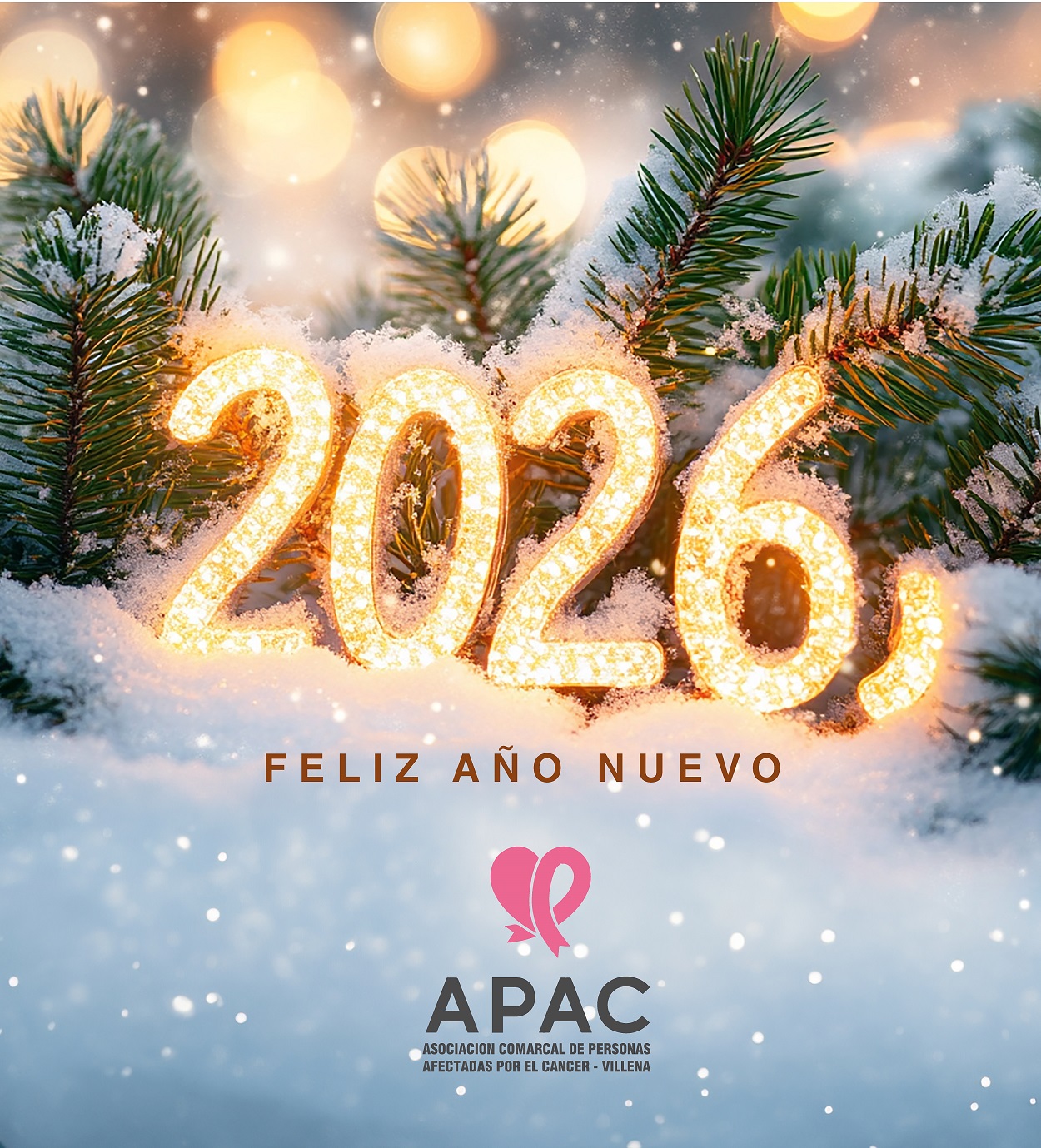 ✨ Feliz Año Nuevo 2026✨